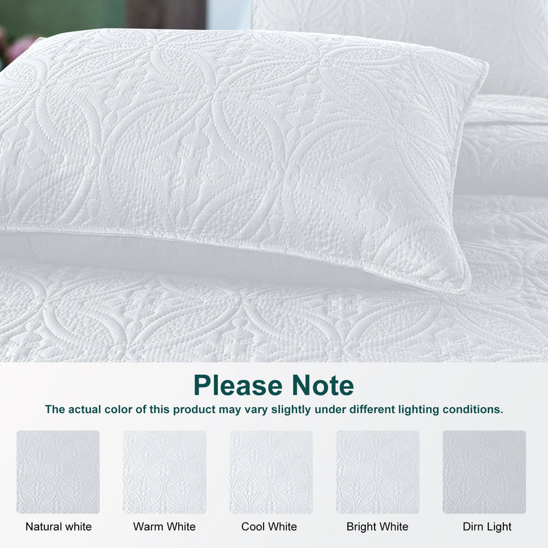 All Season Quilt Set in Classic Coin Design 2/3-Piece Set with 1 Quilt and Shams for Ultimate Comfort,Quilted Bedspread