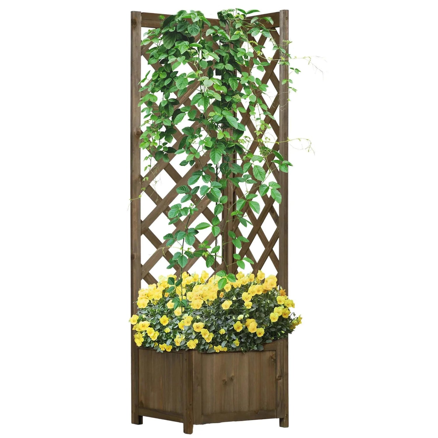 Flower Box